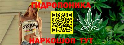 крисы Комсомольск-на-Амуре