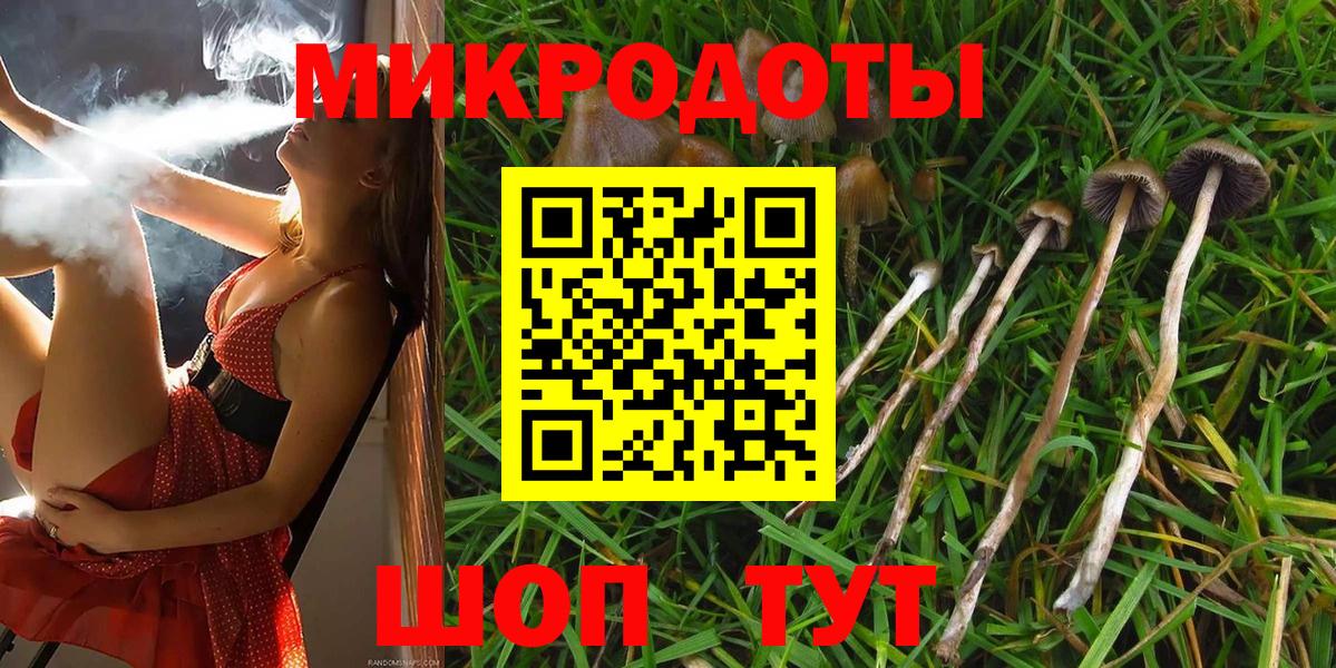 Псилоцибиновые грибы Psilocybe  Псилоцибиновые грибы GOLDEN TEACHER  Южно-Сахалинск  Вход с VPN 